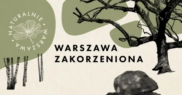Las Bielański – gdy wiosna się rozkręca