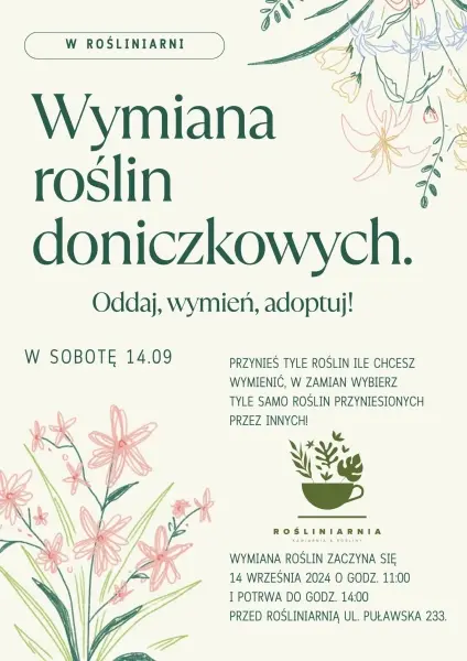 Wymiana roślin doniczkowych 