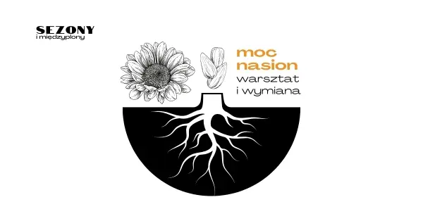 Moc nasion | Warsztat i wymiana