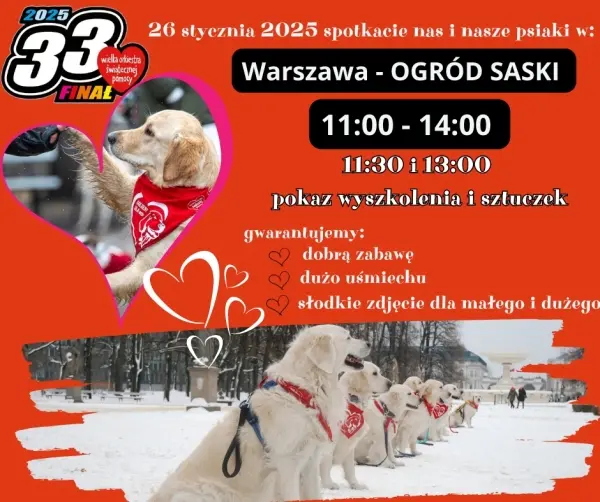 GOLDENY GRAJA DLA WOŚP - POKAZ WYSZKOLENIA, SZTUCZEK ORAZ KWESTA