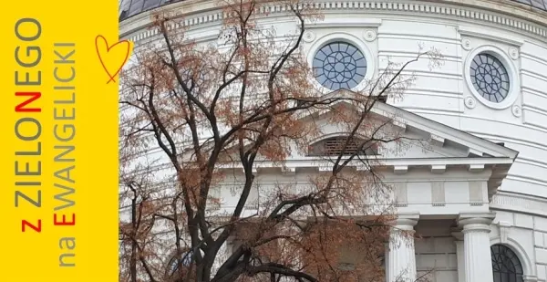Z placu Zielonego na Ewangelicki (z wejściem do kościoła Św. Trójcy). Spacer z przewodnikiem.