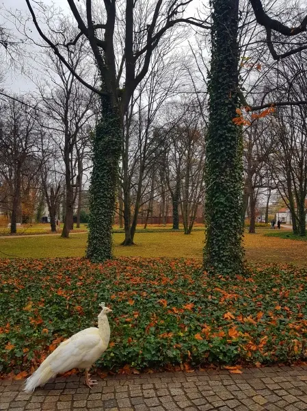 Opowieści o Łazienkach
