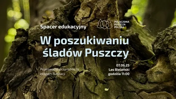 Spacer edukacyjny z Fundacją Las Na Zawsze - w poszukiwaniu śladów Puszczy