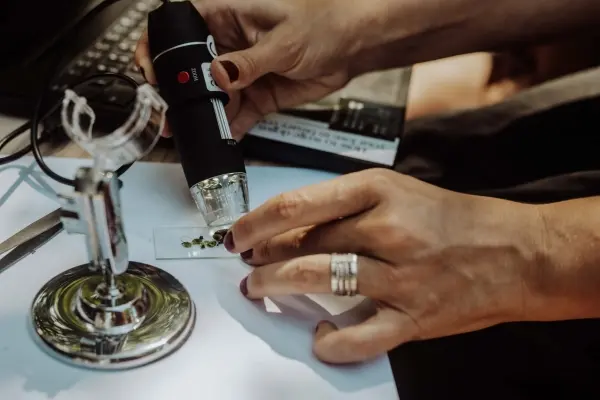 Mikroświaty w Ogrodzie: warsztat ze zbierania i interpretacji bio-śladów z Karolina Żyniewicz