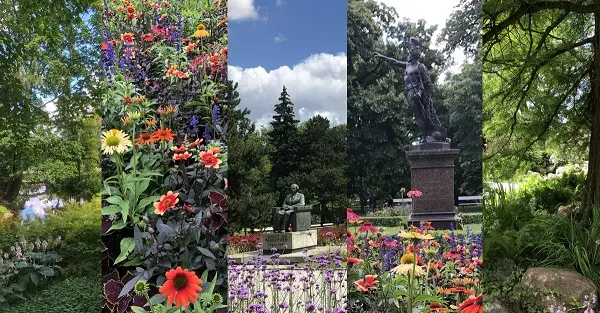 Park Ujazdowski elegancki - rośliny modne i niemodne w mieście okiem botanika