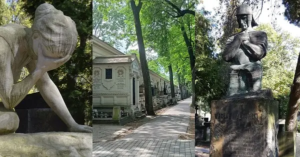 Stare Powązki mało znane - rzadko odwiedzane groby i pomniki