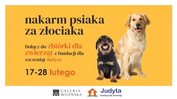 „Nakarm psiaka za złociaka” w Galerii Wileńskiej