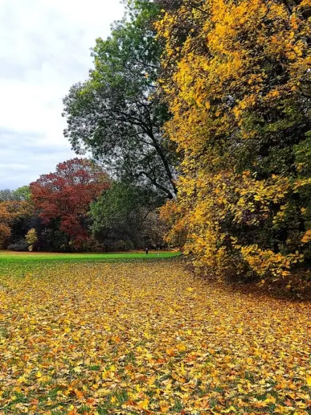 Najpiękniejszy Park Skaryszewski