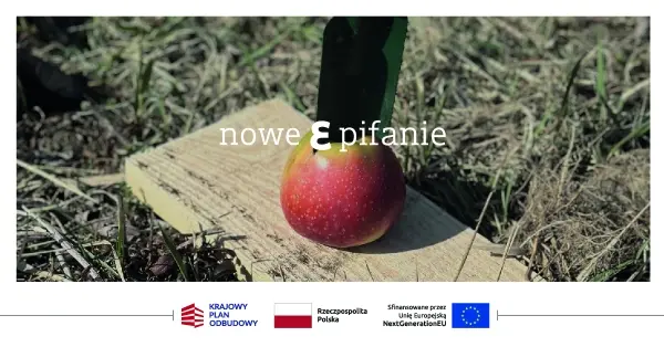 Dary Ziemi - osobiste remdium na słotę, warsztaty