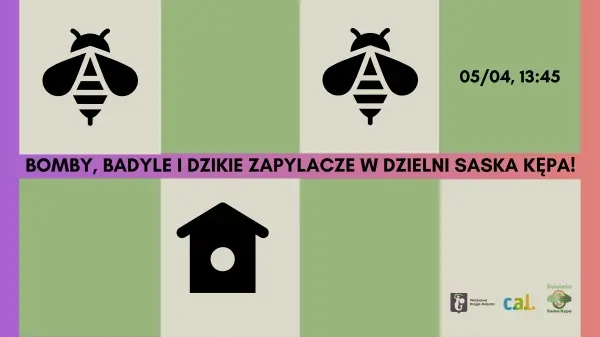 Bomby, badyle i dzikie zapylacze! Warsztaty z tworzenia bomb miododajnych