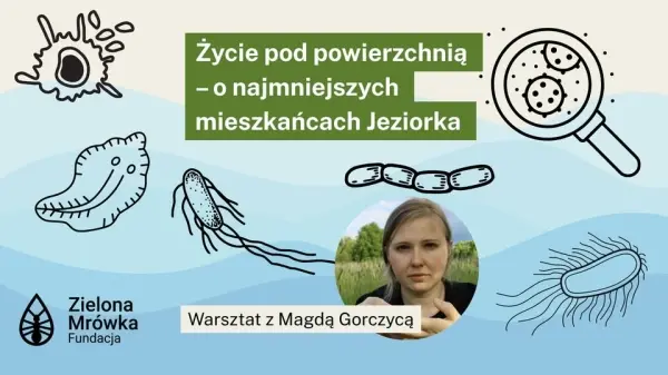 Życie pod powierzchnią - o najmniejszych mieszkańcach Jeziorka