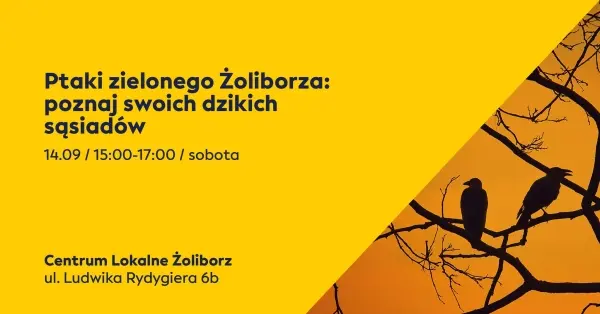 Ptaki zielonego Żoliborza: poznaj swoich dzikich sąsiadów