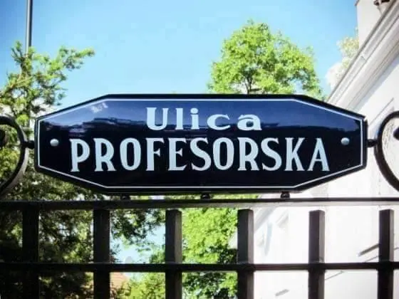 Kolonia Profesorska - spacer z niespodzianką