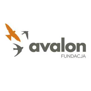 Darmowa rehabilitacja online z Fundacją Avalon