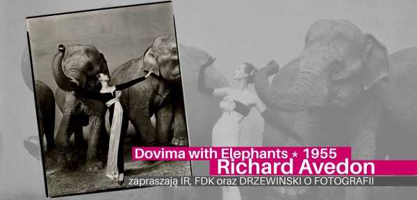 Dovima with Elephants * Richard Avedon. Zaprasza Tomek Drzewiński / O FOTOGRAFII