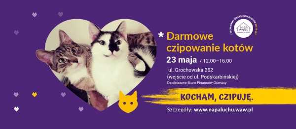 Darmowe czipowanie kotów na Pradze-Południe