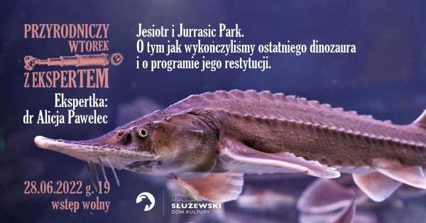 Jesiotr i Jurrasic Park. / Przyrodniczy wtorek z ekspertką #5 WODA / Ekspertka: dr Alicja Pawelec