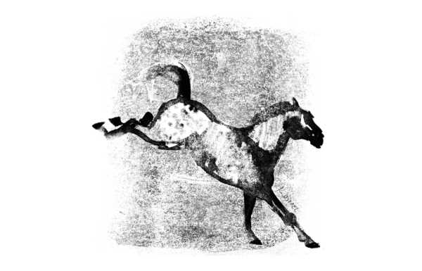 „O koniach, jeździectwie i książkach” – spotkanie z Katarzyną Preiskorn i miniwernisaż 
