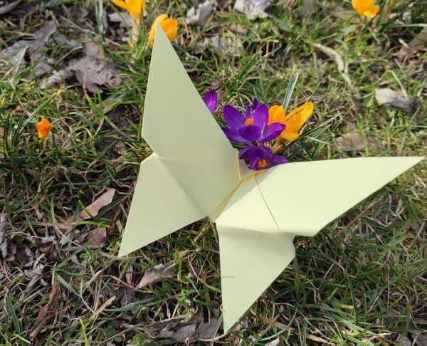 Origami #wKamieniu | mój przyjaciel znad Wisły