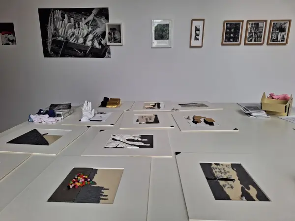 Dostępnościowe warsztaty multisensoryczne wokół fotografii