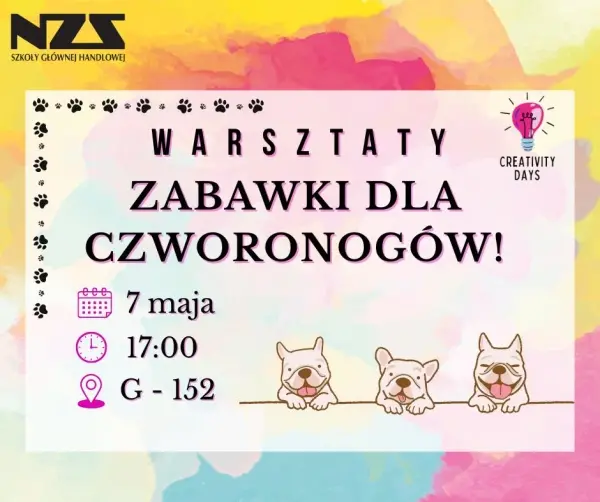Warsztaty tworzenia zabawek dla czworonogów | Creativity Days