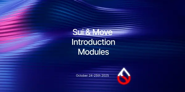 Sui & Move Introduction Modules