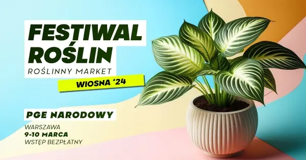 Festiwal Roślin na PGE Narodowym - Wielki market roślin w supercenach