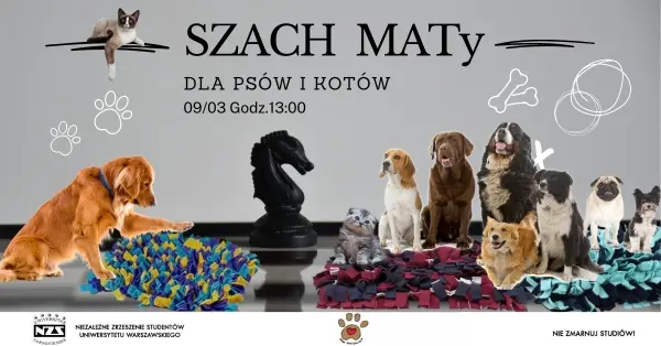 SZACH MATy dla psów i kotów | Warsztaty z tworzenia mat węchowych