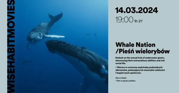 #WiseHabitMovies: Whale Nation / Pieśń wielorybów