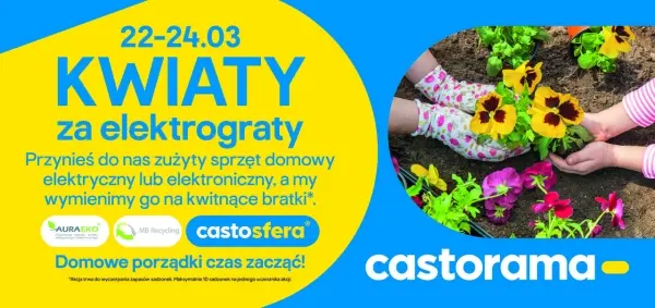 Kwiaty za elektrograty w Castoramie