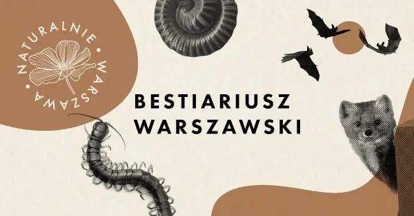 Ukryta natura centrum Warszawy