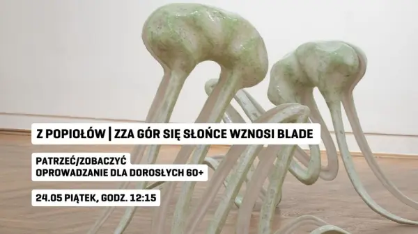 Patrzeć/Zobaczyć | Oprowadzanie dla dorosłych 60+