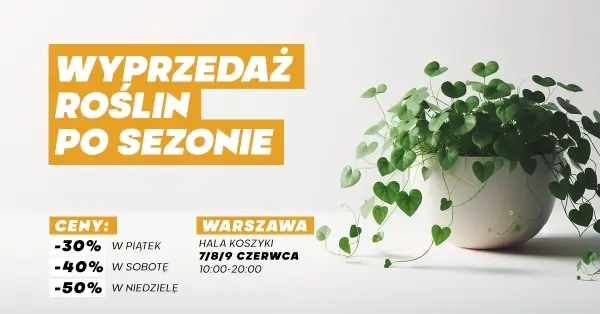 Wyprzedaż roślin po sezonie wiosennym