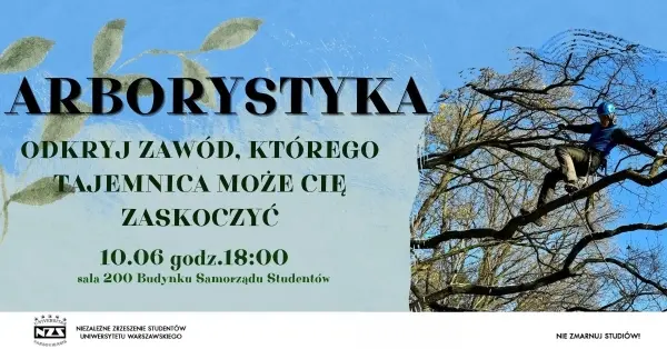 Arborystyka | Odkryj zawód, którego tajemnica może Cię zaskoczyć