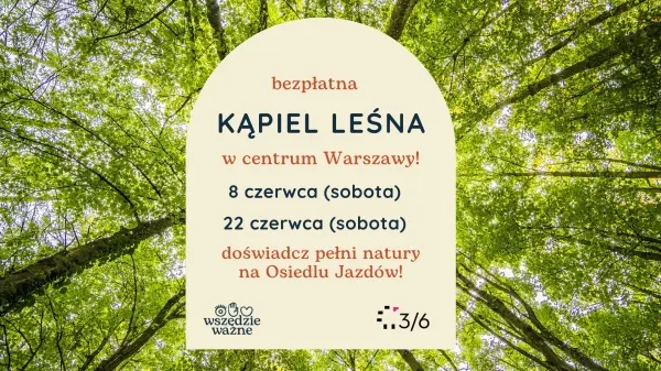 Spa dla mózgu | Kąpiel leśna w sercu Warszawy