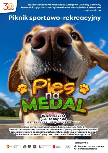 Piknik "Pies na medal"