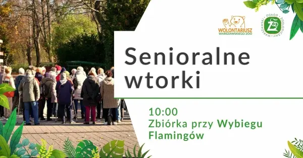 Senioralne Wtorki w Warszawskim ZOO | Optymalizacja zużycia energii, podsumowanie cyklu i wnioski dla nas