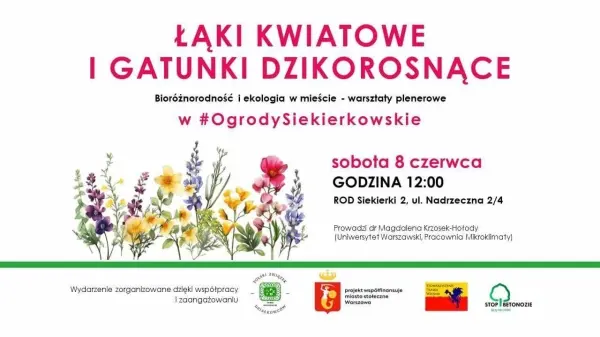 Łąki kwiatowe i gatunki dzikorosnące - ozdobą ogrodów, działek, balkonów, tarasów oraz donic