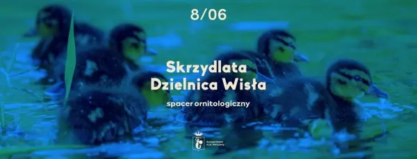 Skrzydlata Dzielnica Wisła | spacer ornitologiczny