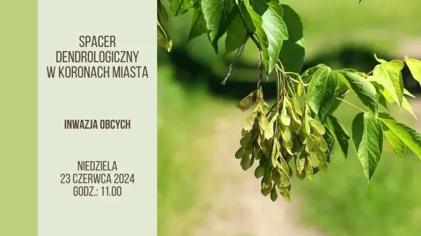 Spacer Dendrologiczny #wKoronachMiasta - "Inwazja obcych"