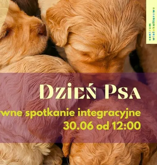 Dzień Psa - charytatywne spotkanie integracyjne