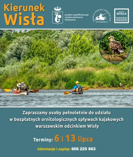 Ornitologiczne spływy kajakowe