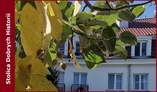Żoliborz. Ten Urzędniczy. Spacer z przewodnikiem