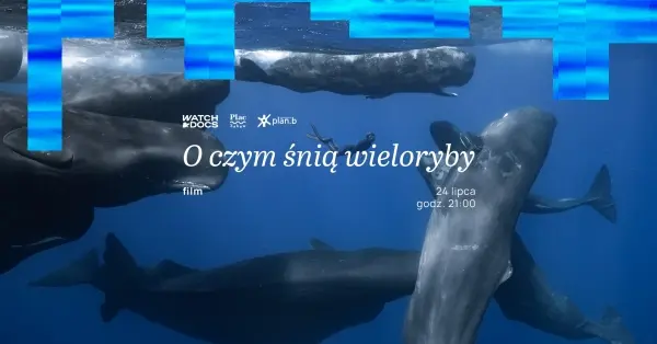 WATCH DOCS x Plac Zabaw: „O czym śnią wieloryby” | Kino nad Wisłą 