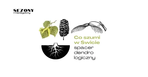 Co szumi w Świcie | spacer dendrologiczny