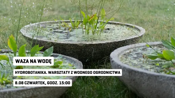 Hydrobotanika. Warsztaty z wodnego ogrodnictwa │ Otwarte warsztaty plenerowe