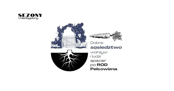 Dobre sąsiedztwo warzyw i ludzi | Spacer po ROD Pelcowizna