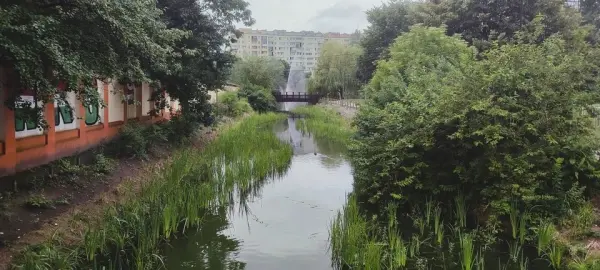EKOWYPRAWY NA BIELANY: Szlakiem POTOKU BIELAŃSKIEGO