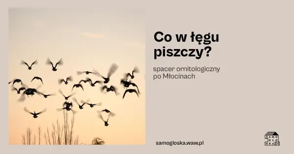 Co w łęgu piszczy? Spacer ornitologiczny po Młocinach 