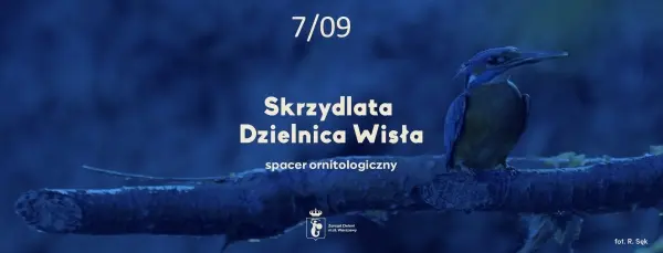 Skrzydlata Dzielnica Wisła | Spacer ornitologiczny 